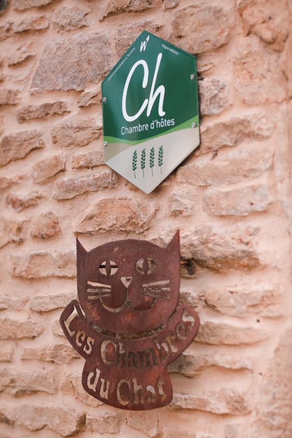Les Chambres Du Chat Sainte-Cécile Exterior foto